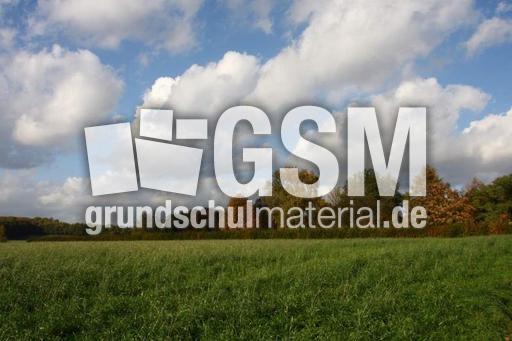 Herbststimmung-25-10-09 001.jpg